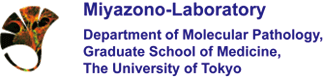 Miyazono-Laboratory, Department of Molecular Pathology, Graduate School of Medicine, The University of Tokyo